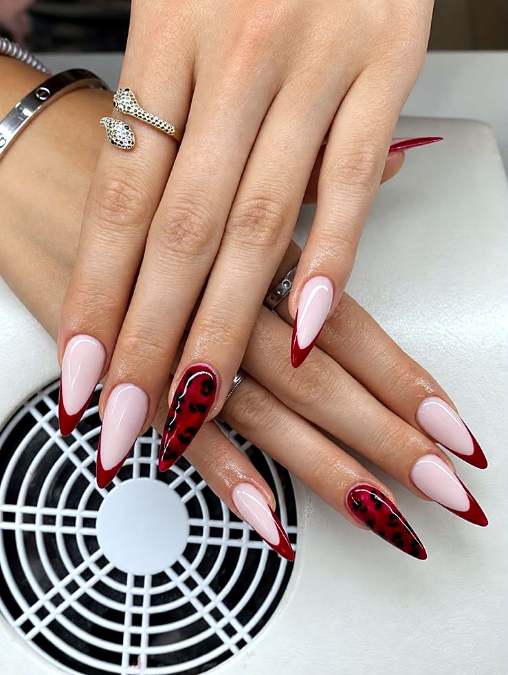French bordo me leopard – Jonida Studio, Fushë Kosovë